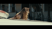 Filename=gully4219.jpg
Filesize=571KiB
Dimensions=3840x2160
Date added=Aug 26, 2021 gully4219.jpg