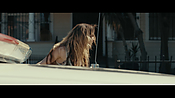 Filename=gully4223.jpg
Filesize=574KiB
Dimensions=3840x2160
Date added=Aug 26, 2021 gully4223.jpg