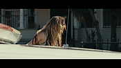 Filename=gully4224.jpg
Filesize=607KiB
Dimensions=3840x2160
Date added=Aug 26, 2021 gully4224.jpg
