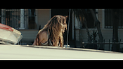 Filename=gully4228.jpg
Filesize=607KiB
Dimensions=3840x2160
Date added=Aug 26, 2021 gully4228.jpg