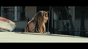 Filename=gully4229.jpg
Filesize=624KiB
Dimensions=3840x2160
Date added=Aug 26, 2021 gully4229.jpg