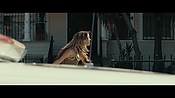 Filename=gully4258.jpg
Filesize=629KiB
Dimensions=3840x2160
Date added=Aug 26, 2021 gully4258.jpg