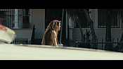 Filename=gully4279.jpg
Filesize=638KiB
Dimensions=3840x2160
Date added=Aug 26, 2021 gully4279.jpg