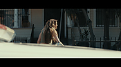 Filename=gully4286.jpg
Filesize=647KiB
Dimensions=3840x2160
Date added=Aug 26, 2021 gully4286.jpg