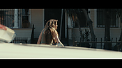 Filename=gully4287.jpg
Filesize=669KiB
Dimensions=3840x2160
Date added=Aug 26, 2021 gully4287.jpg
