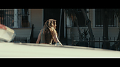 Filename=gully4288.jpg
Filesize=637KiB
Dimensions=3840x2160
Date added=Aug 26, 2021 gully4288.jpg