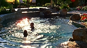 Filename=hiddenpalms101_05294.jpg
Filesize=1390KiB
Dimensions=1920x1080
Date added=Apr 10, 2021 hiddenpalms101_05294.jpg