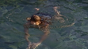 hiddenpalms101_05809.jpg