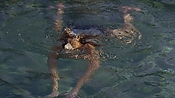 hiddenpalms101_05812.jpg