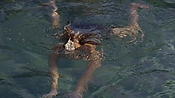 hiddenpalms101_05813.jpg