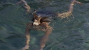 hiddenpalms101_05814.jpg