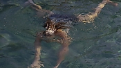 hiddenpalms101_05815.jpg