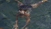 hiddenpalms101_05817.jpg