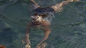 hiddenpalms101_05818.jpg