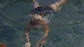 hiddenpalms101_05819.jpg