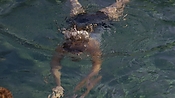 hiddenpalms101_05820.jpg