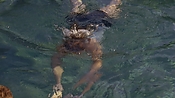 hiddenpalms101_05821.jpg