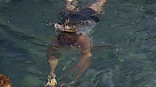 hiddenpalms101_05822.jpg