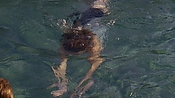 hiddenpalms101_05826.jpg