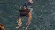 hiddenpalms101_05828.jpg