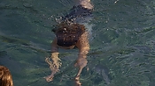 hiddenpalms101_05829.jpg