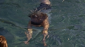hiddenpalms101_05830.jpg