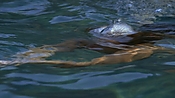 hiddenpalms101_05834.jpg