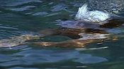 hiddenpalms101_05836.jpg