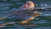 hiddenpalms101_05845.jpg