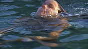 hiddenpalms101_05846.jpg
