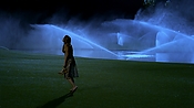 hiddenpalms101_08587.jpg