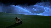 hiddenpalms101_08644.jpg