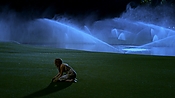 hiddenpalms101_08653.jpg
