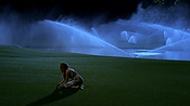 hiddenpalms101_08655.jpg