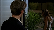 hiddenpalms101_09279.jpg