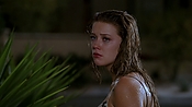 hiddenpalms101_09370.jpg