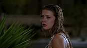 Filename=hiddenpalms101_09386.jpg
Filesize=775KiB
Dimensions=1920x1080
Date added=Apr 10, 2021 hiddenpalms101_09386.jpg