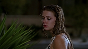 Filename=hiddenpalms101_09401.jpg
Filesize=756KiB
Dimensions=1920x1080
Date added=Apr 10, 2021 hiddenpalms101_09401.jpg