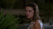 Filename=hiddenpalms101_09415.jpg
Filesize=748KiB
Dimensions=1920x1080
Date added=Apr 10, 2021 hiddenpalms101_09415.jpg
