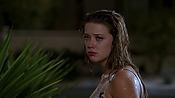 Filename=hiddenpalms101_09416.jpg
Filesize=760KiB
Dimensions=1920x1080
Date added=Apr 10, 2021 hiddenpalms101_09416.jpg