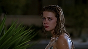 Filename=hiddenpalms101_09419.jpg
Filesize=776KiB
Dimensions=1920x1080
Date added=Apr 10, 2021 hiddenpalms101_09419.jpg