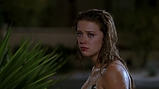 Filename=hiddenpalms101_09421.jpg
Filesize=778KiB
Dimensions=1920x1080
Date added=Apr 10, 2021 hiddenpalms101_09421.jpg