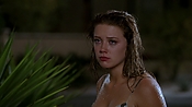 Filename=hiddenpalms101_09443.jpg
Filesize=744KiB
Dimensions=1920x1080
Date added=Apr 10, 2021 hiddenpalms101_09443.jpg