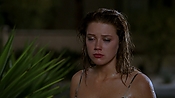 Filename=hiddenpalms101_09461.jpg
Filesize=744KiB
Dimensions=1920x1080
Date added=Apr 10, 2021 hiddenpalms101_09461.jpg
