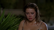 Filename=hiddenpalms101_09469.jpg
Filesize=723KiB
Dimensions=1920x1080
Date added=Apr 10, 2021 hiddenpalms101_09469.jpg