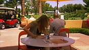 Filename=hiddenpalms102_1457.jpg
Filesize=1082KiB
Dimensions=1920x1080
Date added=Apr 11, 2021 hiddenpalms102_1457.jpg