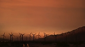hiddenpalms102_2768.jpg