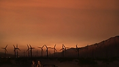 hiddenpalms102_2770.jpg