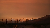 hiddenpalms102_2771.jpg