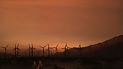 hiddenpalms102_2772.jpg